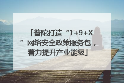 普陀打造“1+9+X”网络安全政策服务包，着力提升产业能级