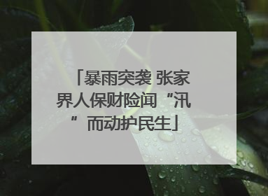暴雨突袭 张家界人保财险闻“汛”而动护民生