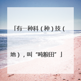 有一种科（种）技（地），叫“吨粮田”