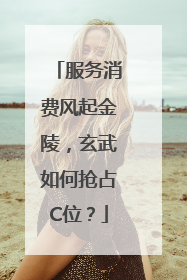服务消费风起金陵，玄武如何抢占C位？
