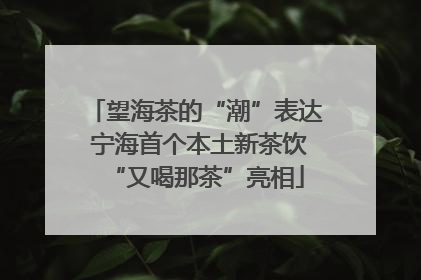 望海茶的“潮”表达 宁海首个本土新茶饮“又喝那茶”亮相
