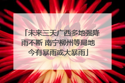 未来三天广西多地强降雨不断 南宁柳州等局地今有暴雨或大暴雨