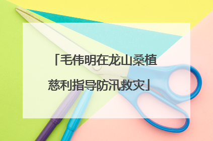 毛伟明在龙山桑植慈利指导防汛救灾