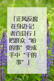 正风反腐在身边·记者百县行丨把群众“盼的事”变成手中“干的事”