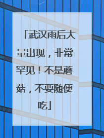 武汉雨后大量出现，非常罕见！不是蘑菇，不要随便吃