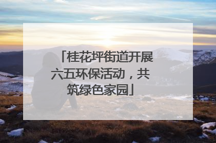 桂花坪街道开展六五环保活动，共筑绿色家园