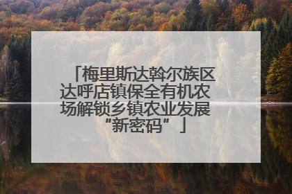 梅里斯达斡尔族区达呼店镇保全有机农场解锁乡镇农业发展“新密码”