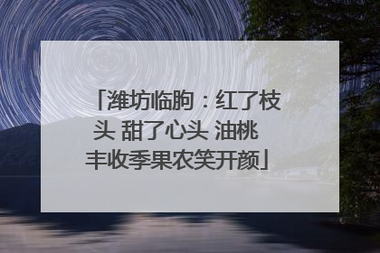 潍坊临朐：红了枝头 甜了心头 油桃丰收季果农笑开颜