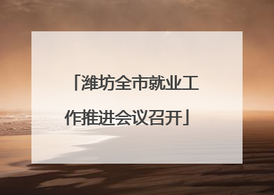 潍坊全市就业工作推进会议召开