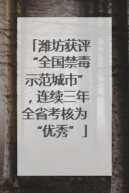 潍坊获评“全国禁毒示范城市”，连续三年全省考核为“优秀”