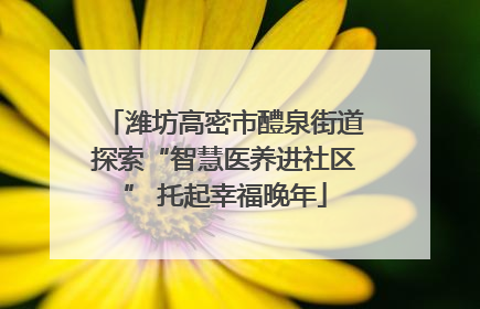 潍坊高密市醴泉街道探索“智慧医养进社区” 托起幸福晚年
