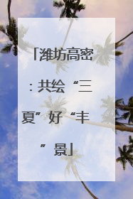 潍坊高密：共绘“三夏”好“丰”景