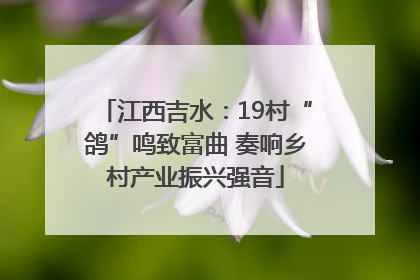 江西吉水：19村“鸽”鸣致富曲 奏响乡村产业振兴强音