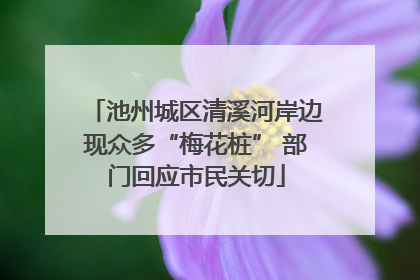 池州城区清溪河岸边现众多“梅花桩” 部门回应市民关切