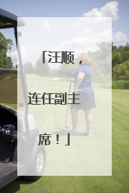 汪顺，连任副主席！