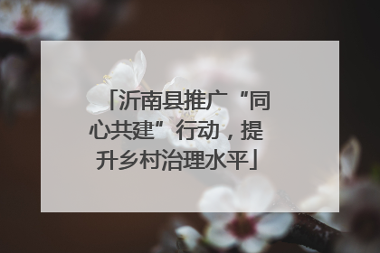 沂南县推广“同心共建”行动，提升乡村治理水平