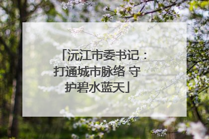 沅江市委书记：打通城市脉络 守护碧水蓝天