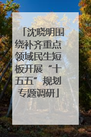 沈晓明围绕补齐重点领域民生短板开展“十五五”规划专题调研