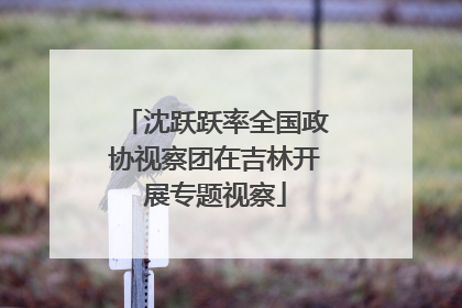沈跃跃率全国政协视察团在吉林开展专题视察