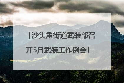 沙头角街道武装部召开5月武装工作例会