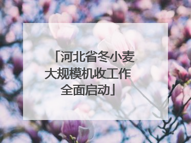 河北省冬小麦大规模机收工作全面启动
