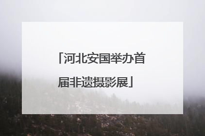 河北安国举办首届非遗摄影展