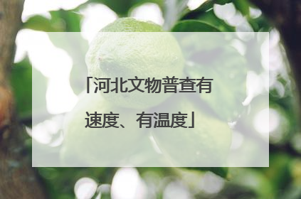 河北文物普查有速度、有温度