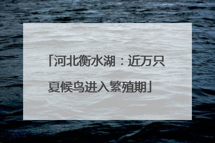 河北衡水湖：近万只夏候鸟进入繁殖期