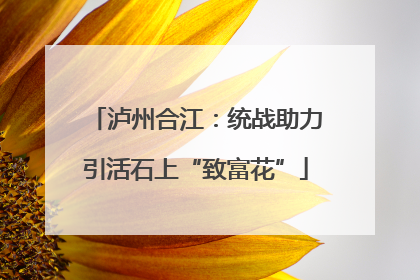泸州合江：统战助力引活石上“致富花”