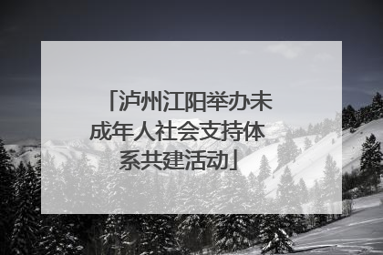 泸州江阳举办未成年人社会支持体系共建活动