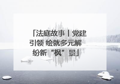 法庭故事丨党建引领 绘就多元解纷新“枫”景