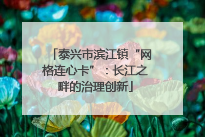 泰兴市滨江镇“网格连心卡”：长江之畔的治理创新