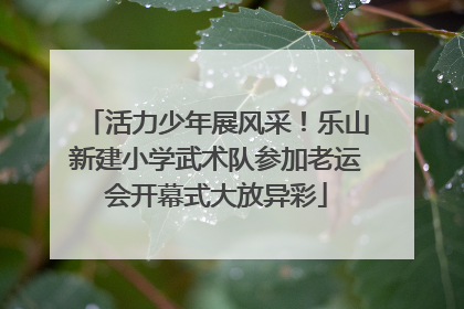 活力少年展风采！乐山新建小学武术队参加老运会开幕式大放异彩