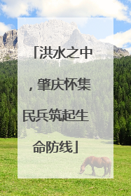 洪水之中，肇庆怀集民兵筑起生命防线