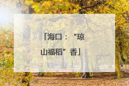 海口：“琼山福稻”香
