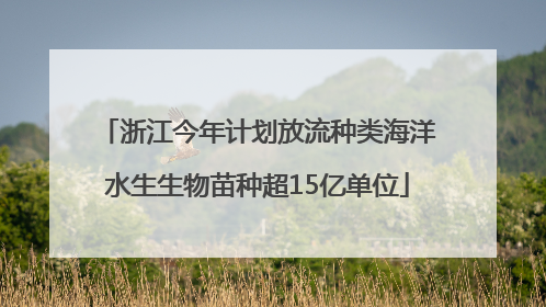 浙江今年计划放流种类海洋水生生物苗种超15亿单位