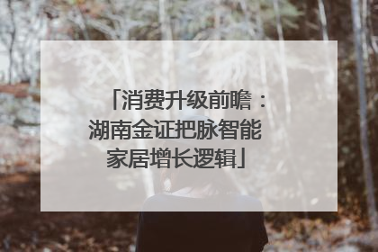 消费升级前瞻：湖南金证把脉智能家居增长逻辑