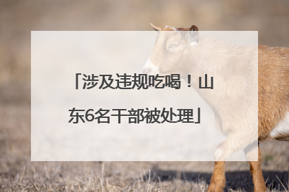 涉及违规吃喝！山东6名干部被处理