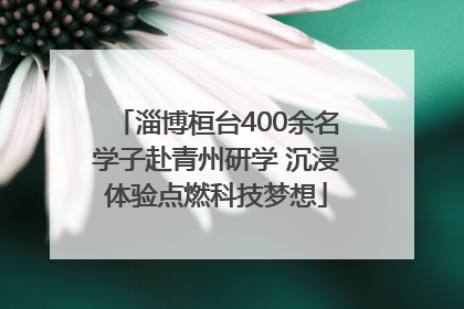 淄博桓台400余名学子赴青州研学 沉浸体验点燃科技梦想