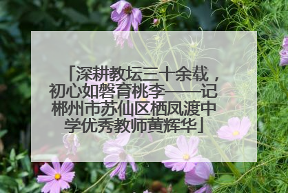 深耕教坛三十余载，初心如磐育桃李——记郴州市苏仙区栖凤渡中学优秀教师黄辉华