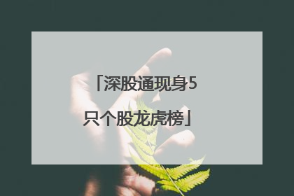 深股通现身5只个股龙虎榜