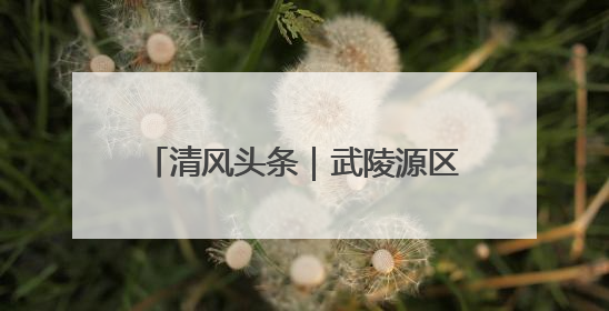 清风头条｜武陵源区产业公司：多措并举推进警示教育走深走实