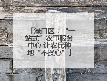 渌口区：“一站式”农事服务中心 让农民种地“不操心”