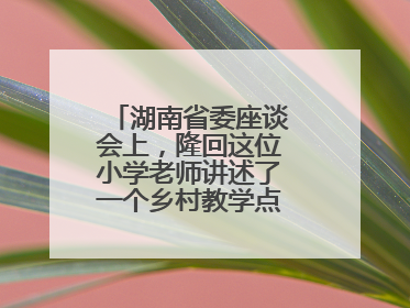 湖南省委座谈会上，隆回这位小学老师讲述了一个乡村教学点的温暖故事