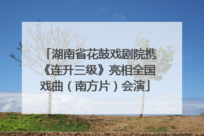 湖南省花鼓戏剧院携《连升三级》亮相全国戏曲（南方片）会演