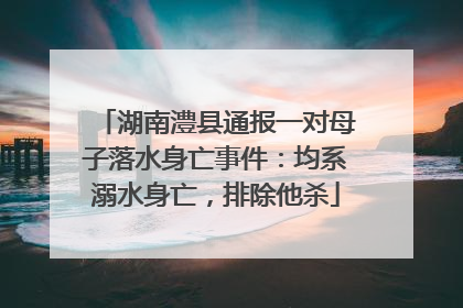 湖南澧县通报一对母子落水身亡事件：均系溺水身亡，排除他杀
