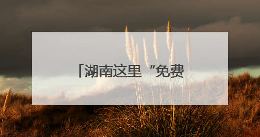 湖南这里“免费公交”运行17年了，你坐过吗？