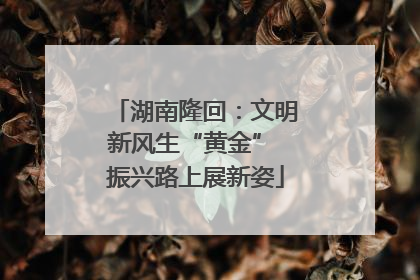 湖南隆回：文明新风生“黄金” 振兴路上展新姿