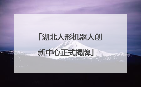 湖北人形机器人创新中心正式揭牌