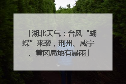 湖北天气：台风“蝴蝶”来袭，荆州、咸宁、黄冈局地有暴雨